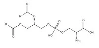 Quelle est la demande du marché pour l'acide N-acétylneuraminique (CAS NO.131...